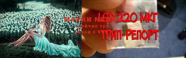 сатива Козловка