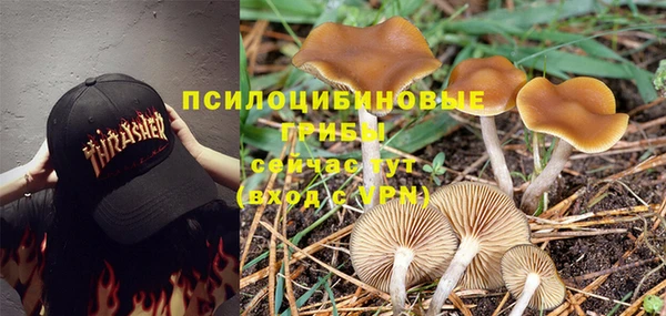 mix Корсаков