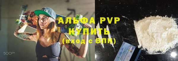 сатива Козловка