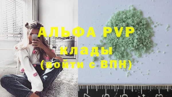 амф Коряжма