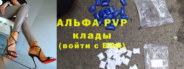 сатива Козловка