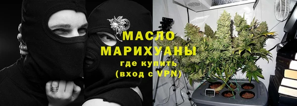 сатива Козловка