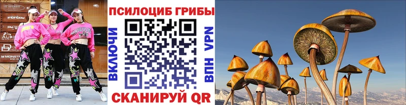 где можно купить наркотик  Киренск  Галлюциногенные грибы Psilocybine cubensis 